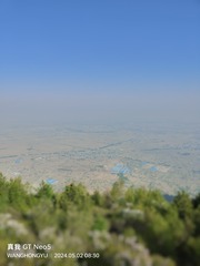 1000060475