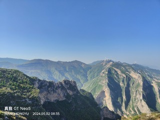 1000060481