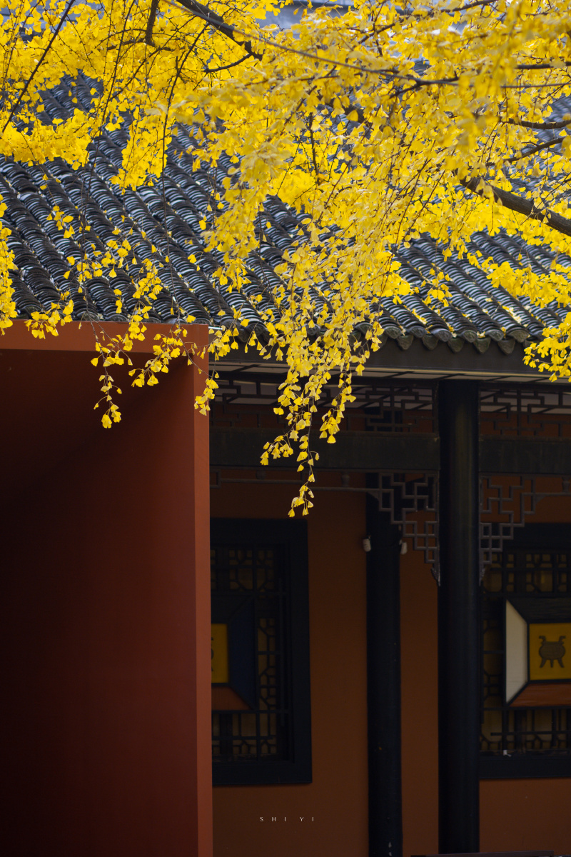 红墙黛瓦竹影清风成都武侯祠设备佳能6d