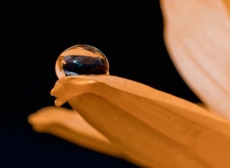 73636