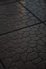 1000027629