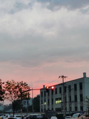 1000136356