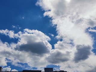 1000140366