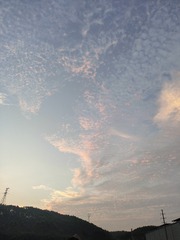 1000007187