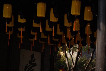 DSC_8266