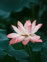 001