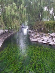 DSCF0961_副本.jpg