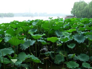 DSCF3707_副本.jpg