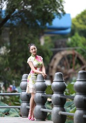 DPP_1509035910