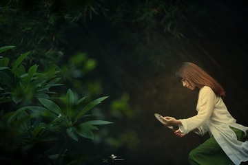 DPP_1506084753