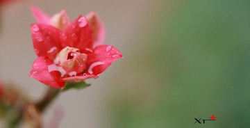 ANGAO 2012.04.01021