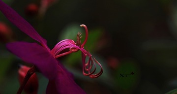 ANGAO 2012.04.01047