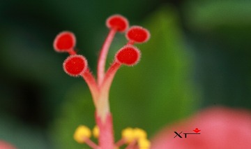 ANGAO 2012.04.01158