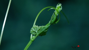 ANGAO 2012.04.01163