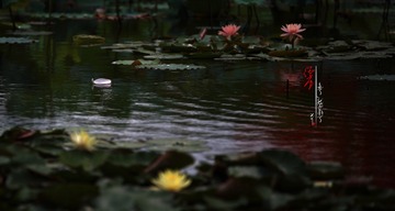 ANGAO 2012.05.13706