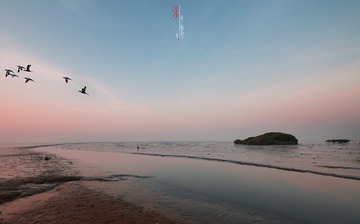 DPP_1511296310