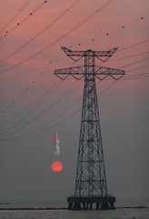 DPP_1511296599