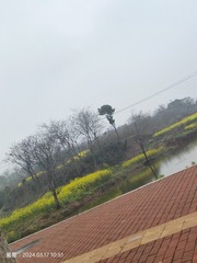 1000042124