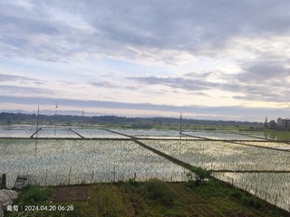 1000045394