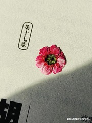 1000031238