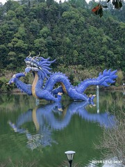 1000035467