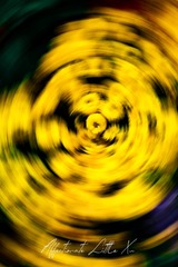 1000127046