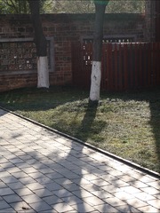1000098643