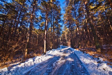 IMG_7349.jpg