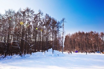 IMG_7367.jpg