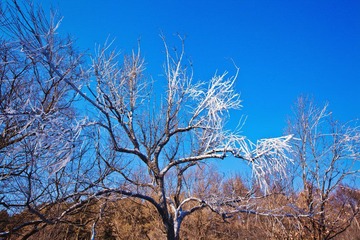 IMG_7373.jpg