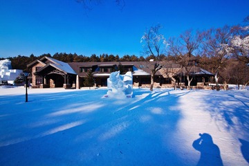 IMG_7374.jpg
