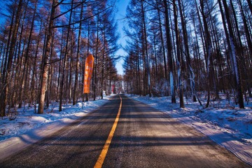 IMG_7387.jpg