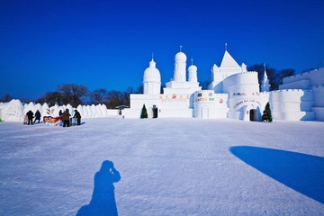 IMG_7394.jpg