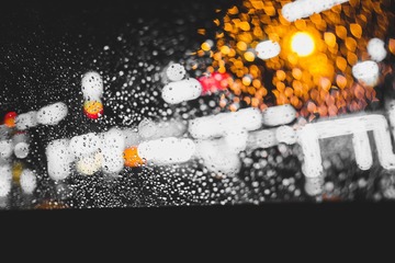 IMG_7667_1