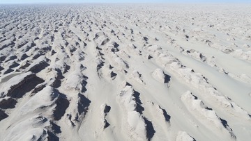 1000021292
