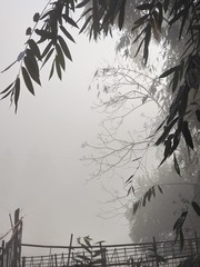 1000026771
