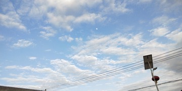 9988155