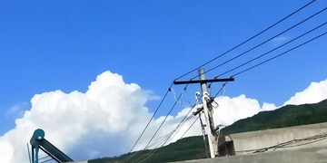 11004782