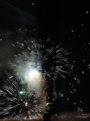 1000012602