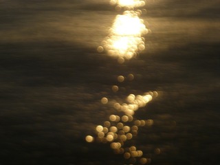 1000275372