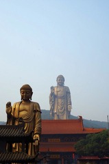 IMGP2245_副本.jpg