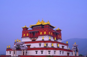 IMGP2346_副本.jpg