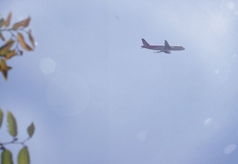IMGP3178_副本.jpg
