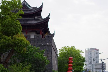 IMGP8284_副本.jpg