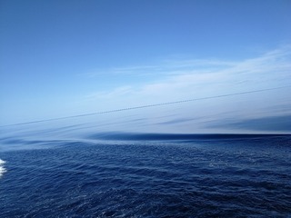 1000091117