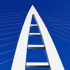 1000082254