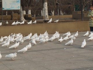 73882