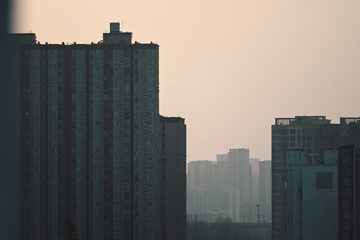 216558