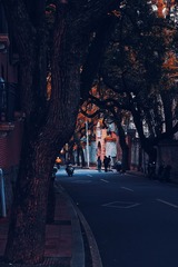 1000062498