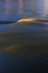 1000067147